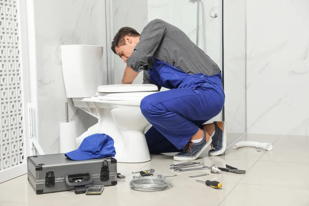 Toilet Repair in Braddock